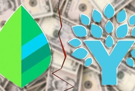 Discover the pros and cons of Mint and You Need a Budget (YNAB) in this c.....